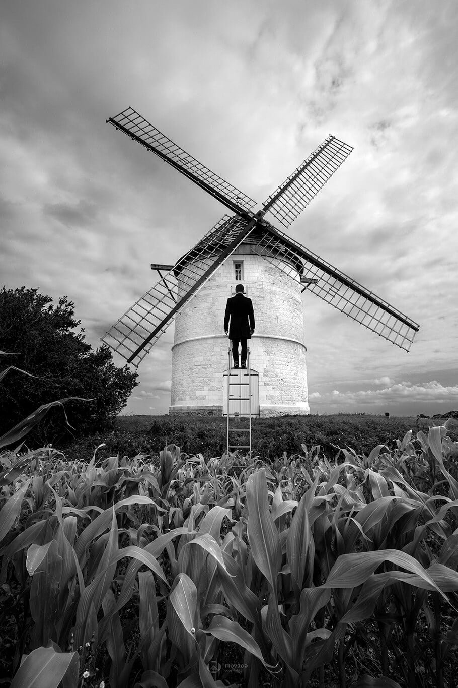 photographe art une homme au sommet d'une échelle dans un champs regarde un moilin à vent florent studio photographe art boulogne sur mer saint omer paris lille marseille