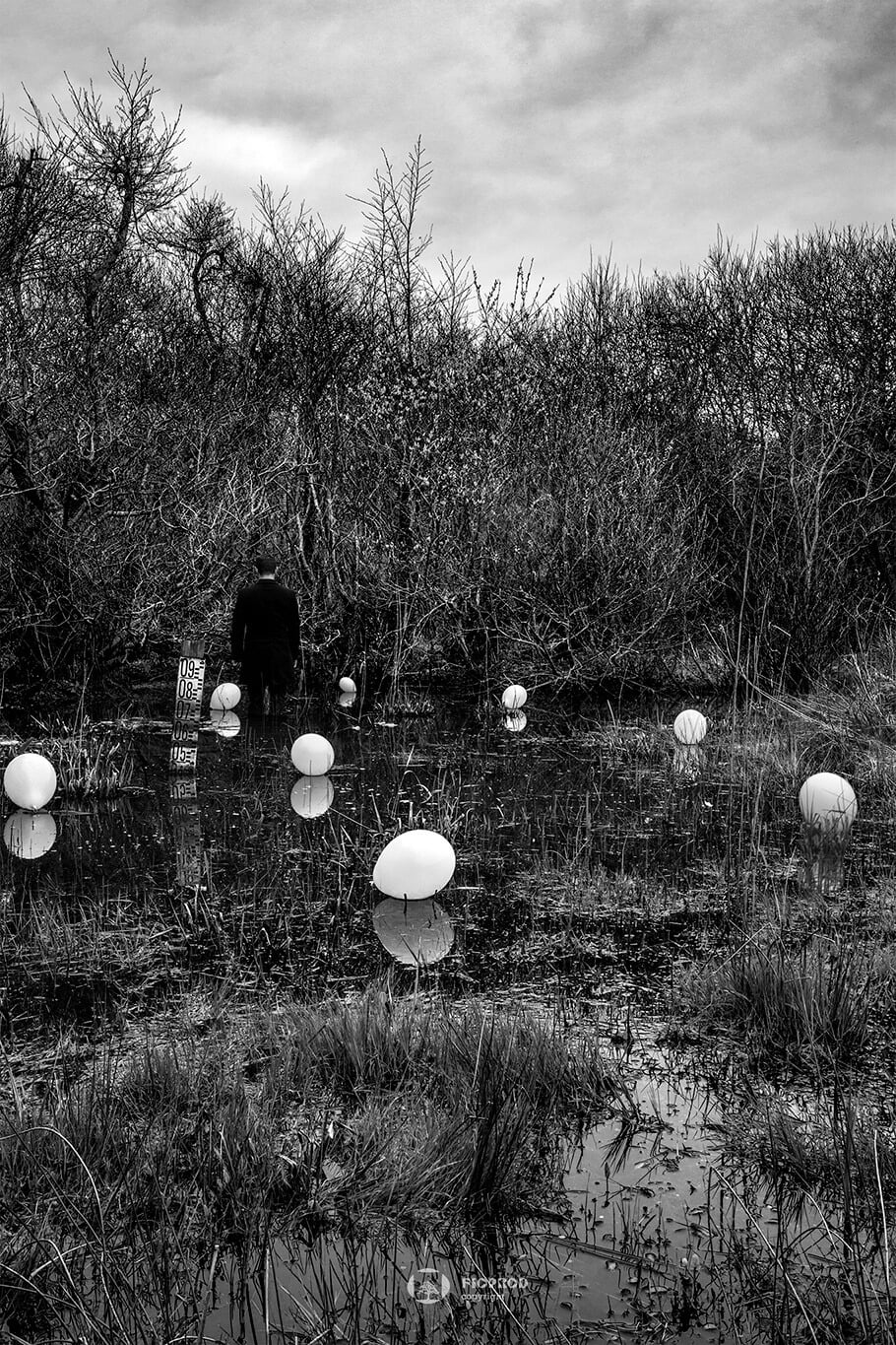 photo art florent studio boulogne sur mer un homme dans un étang jusqu'au genoux entouré de ballons blancs qui flottent